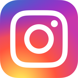 Ícone Instagram